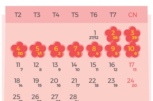 Tết âm lịch năm 2019 ngành Y được nghỉ bao nhiêu ngày?