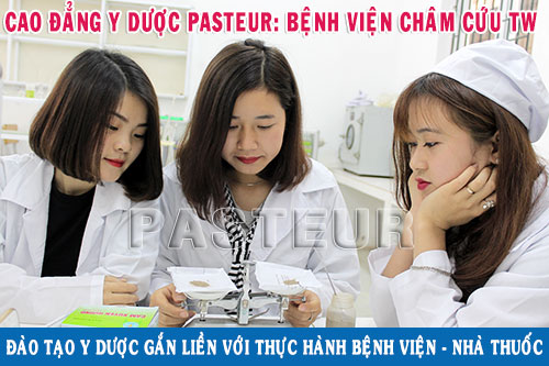 Trường Cao đẳng Y Dược Pasteur đào tạo gắn liền thực hành